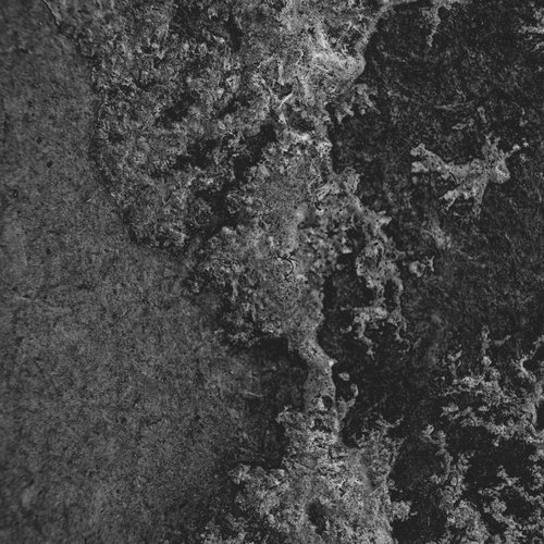 vignette lichtenberg 2